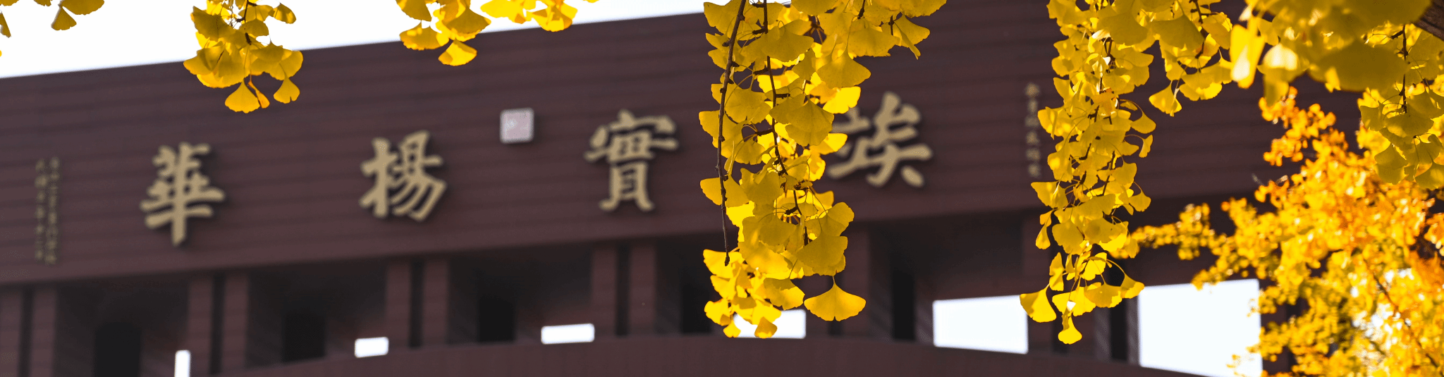 金沙娱乐城